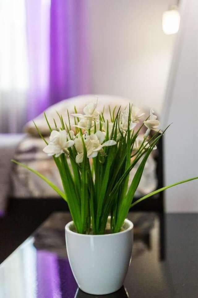 Апартаменты 8 Svyatoho Teodora Square Apartments Львов-37